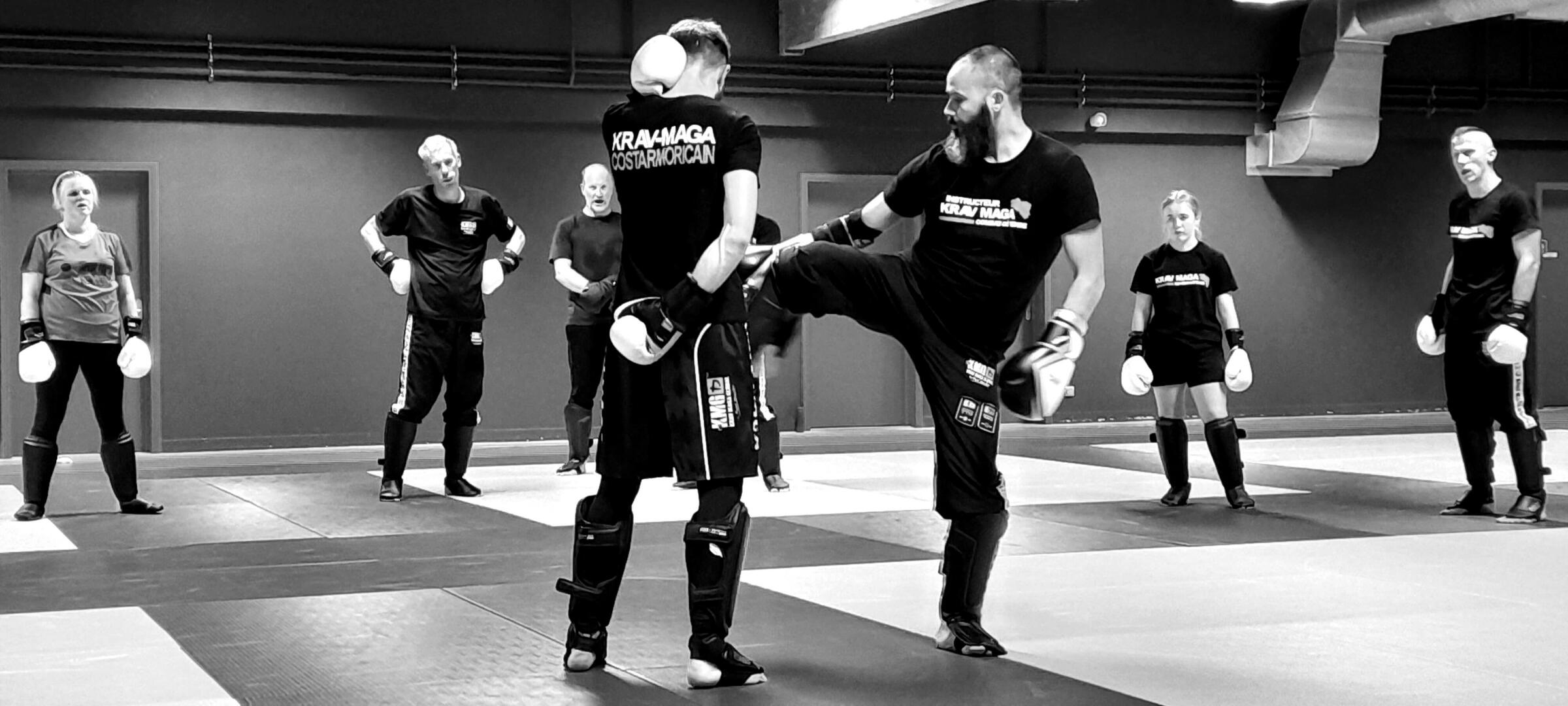 Krav Maga Global (KMG)